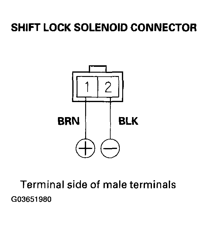 G03651980