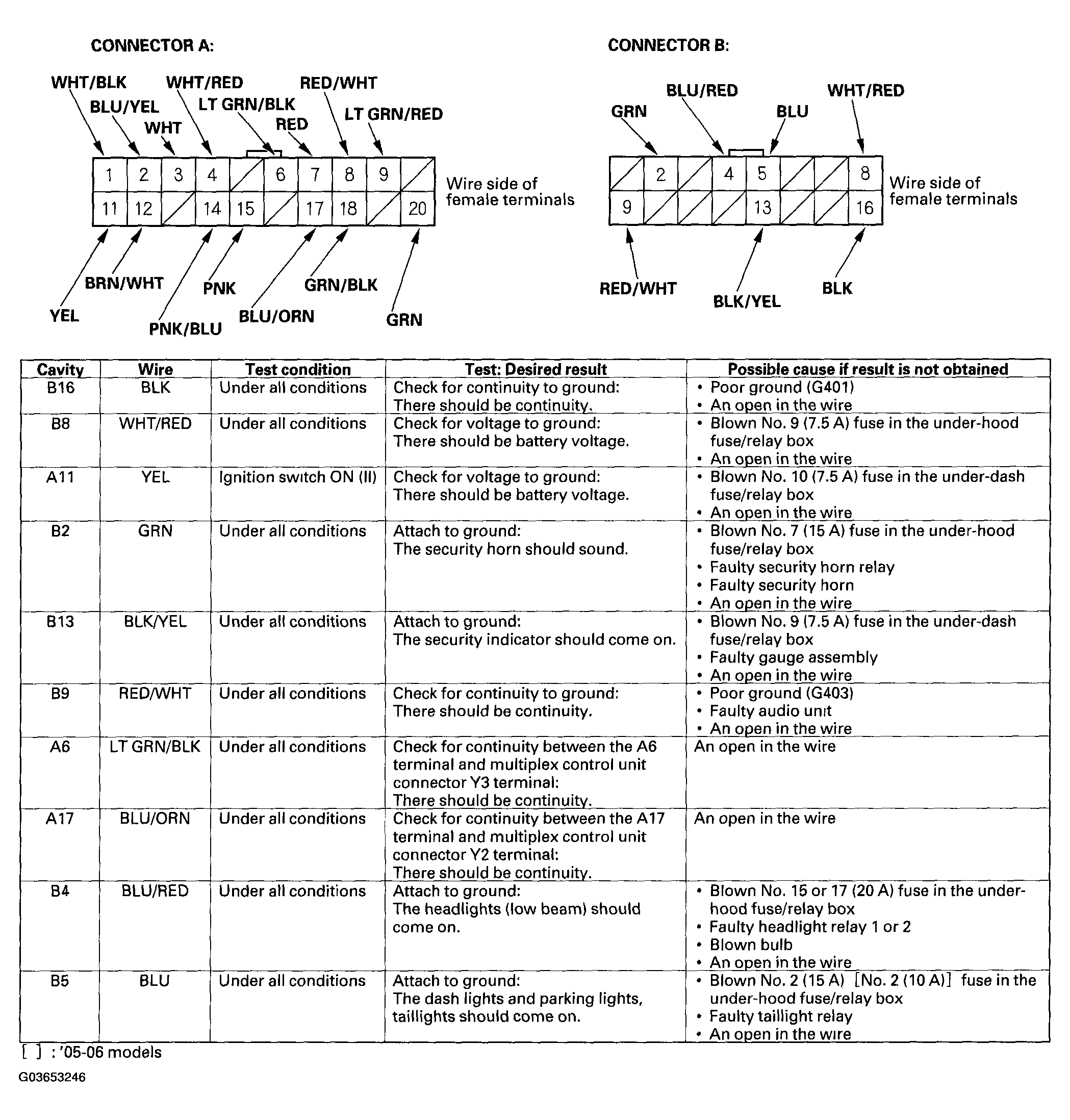 G03653246