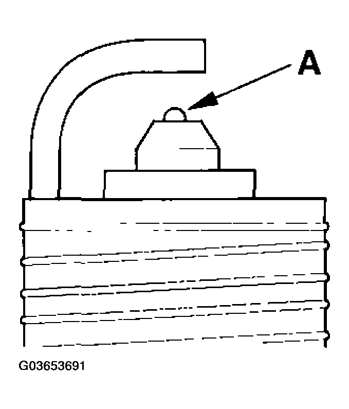 G03653691