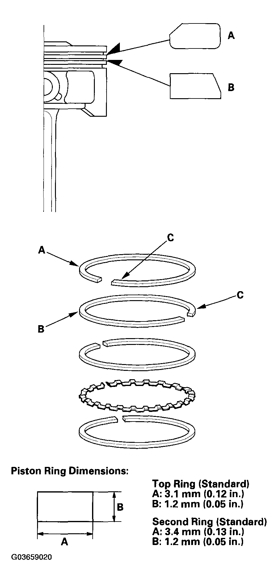 G03659020