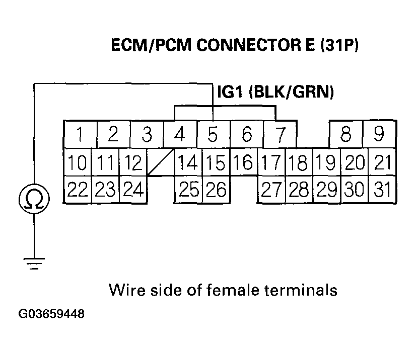 G03659448