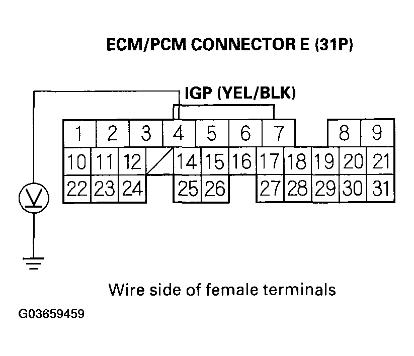 G03659459