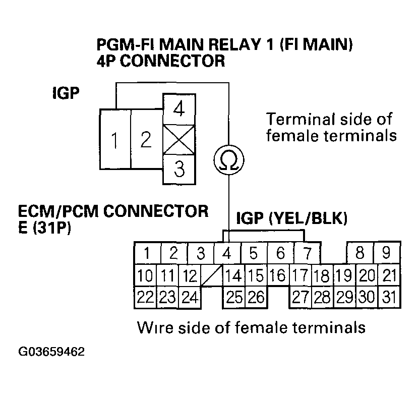 G03659462