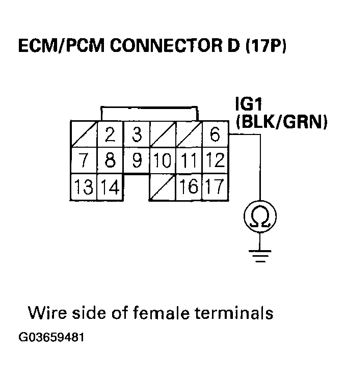 G03659481