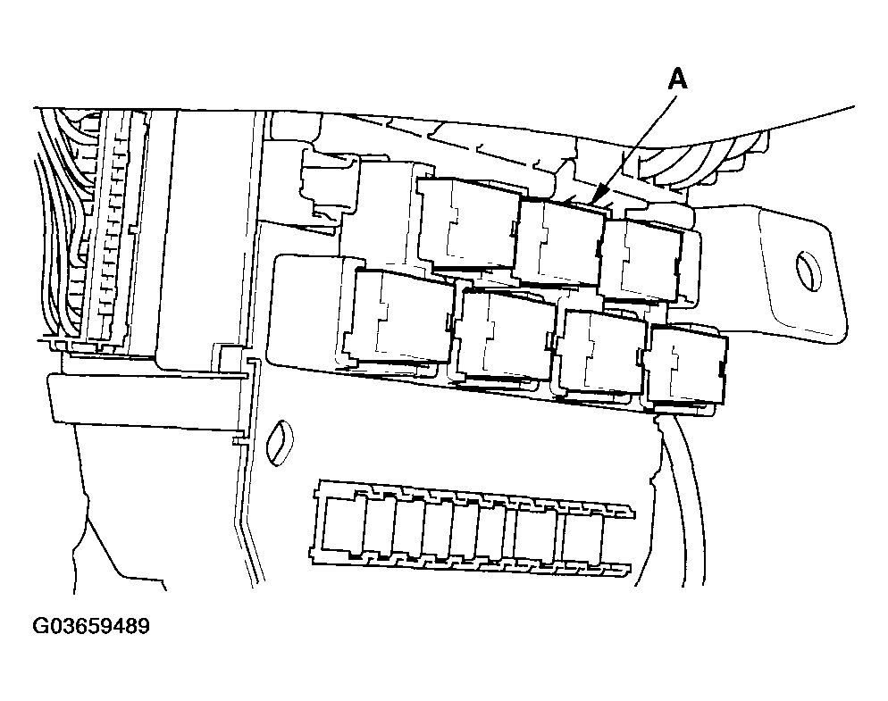 G03659489