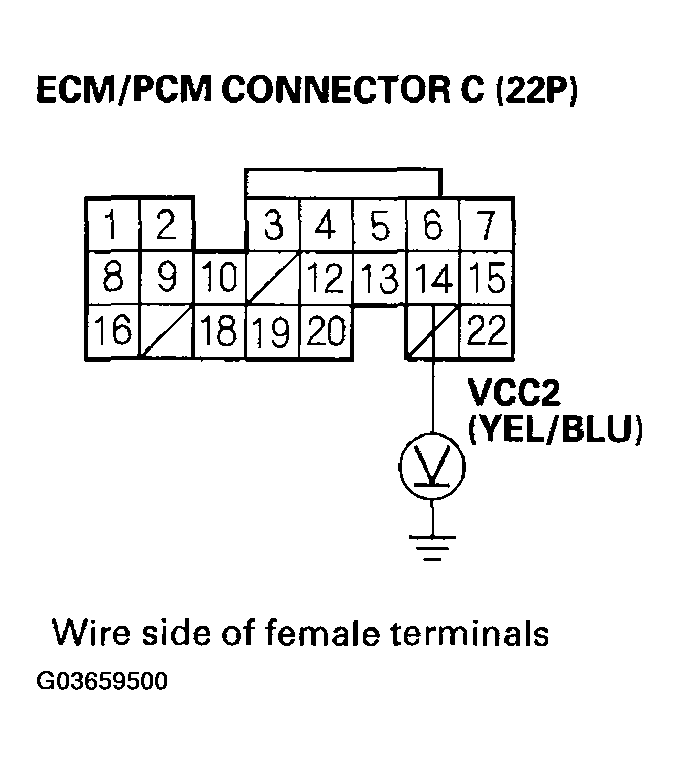 G03659500