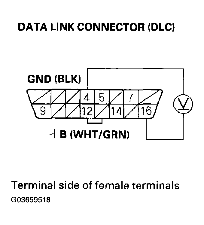 G03659518