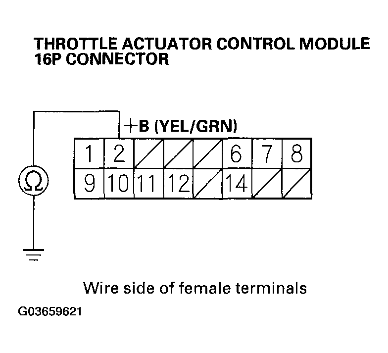 G03659621