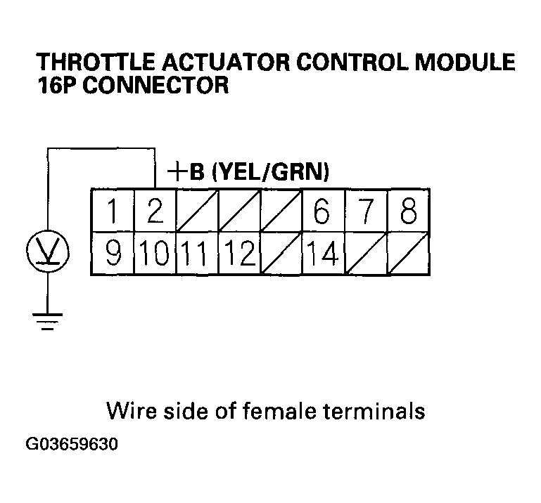 G03659630