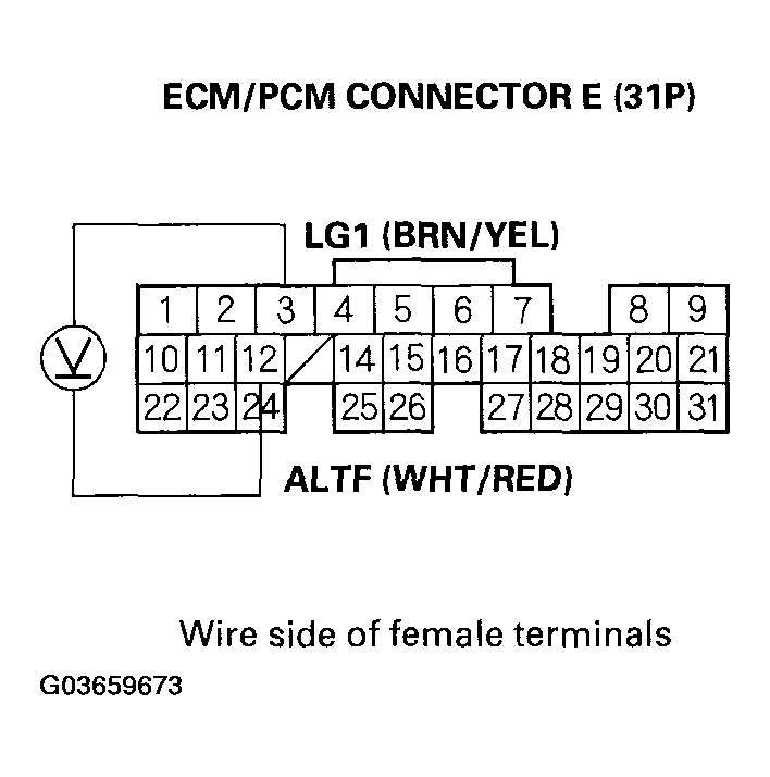 G03659673
