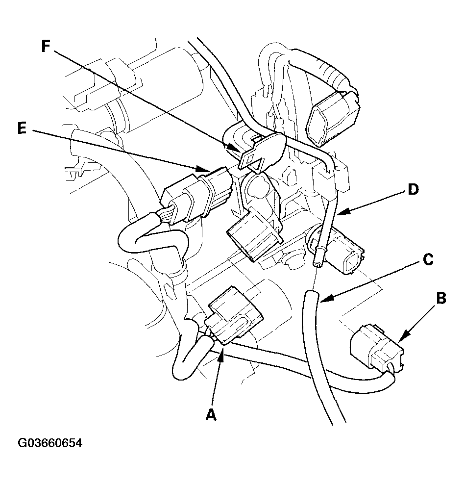 G03660654