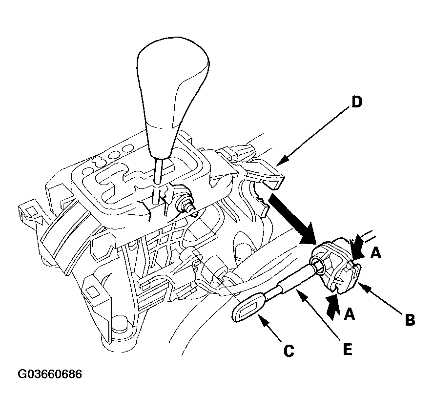 G03660686