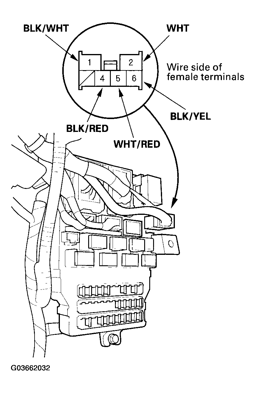 G03662032