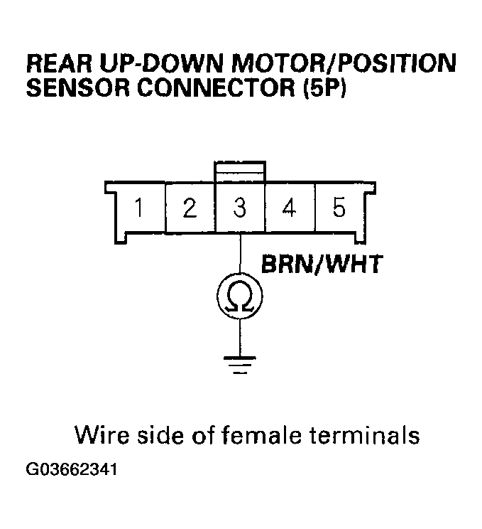 G03662341