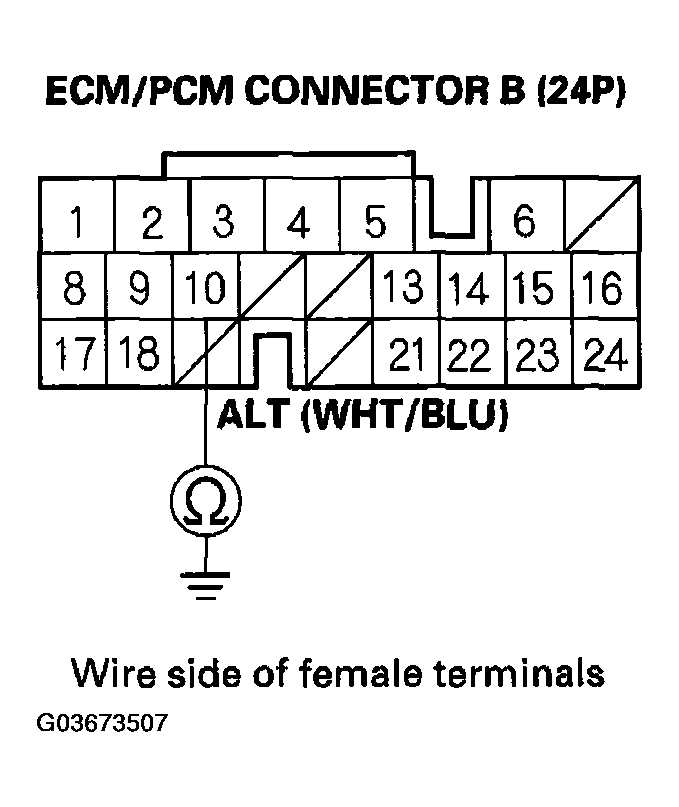 G03673507
