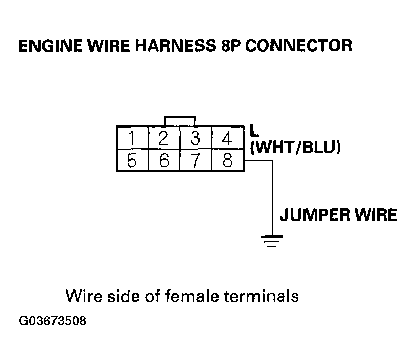 G03673508