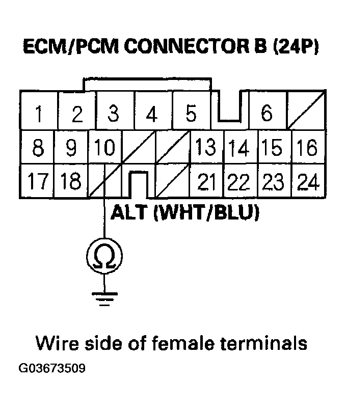 G03673509
