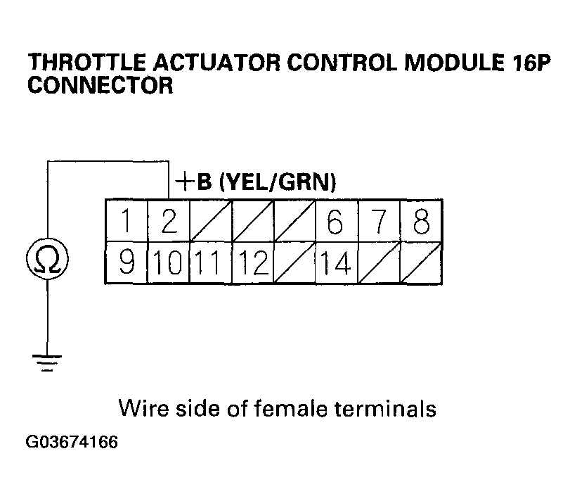 G03674166