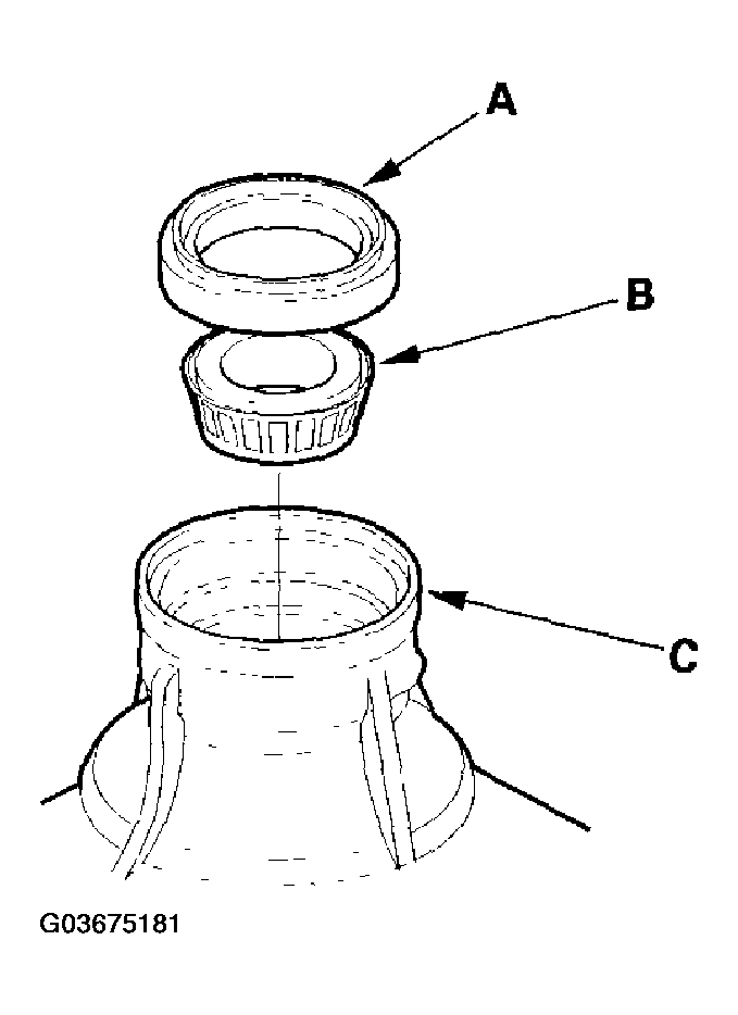 G03675181