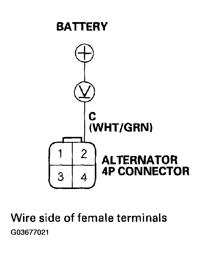 G03677021