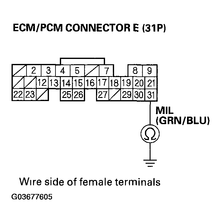 G03677605