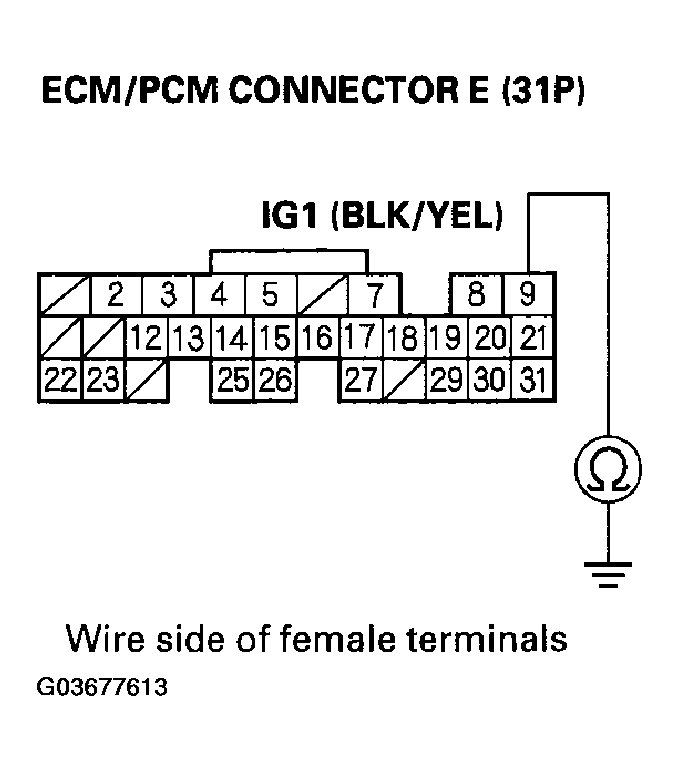 G03677613
