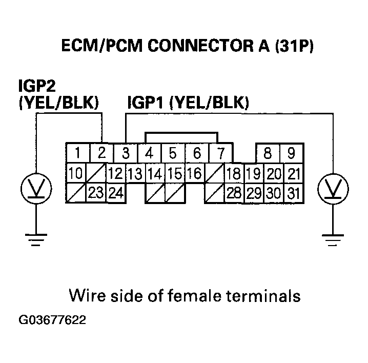 G03677622