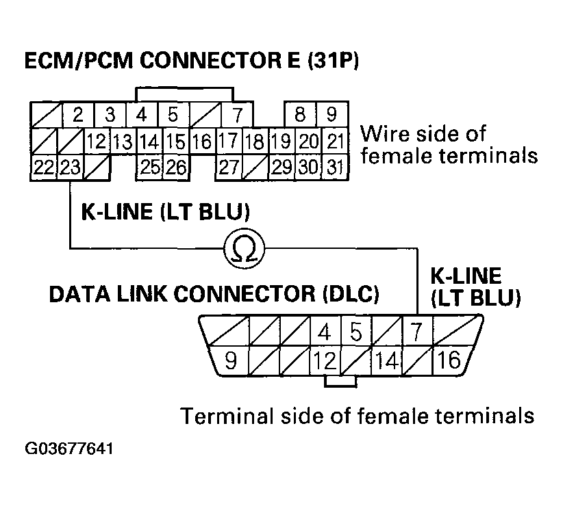 G03677641