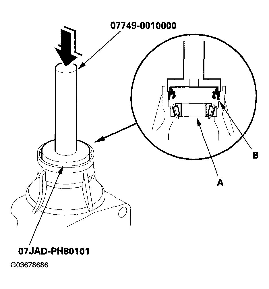 G03678686