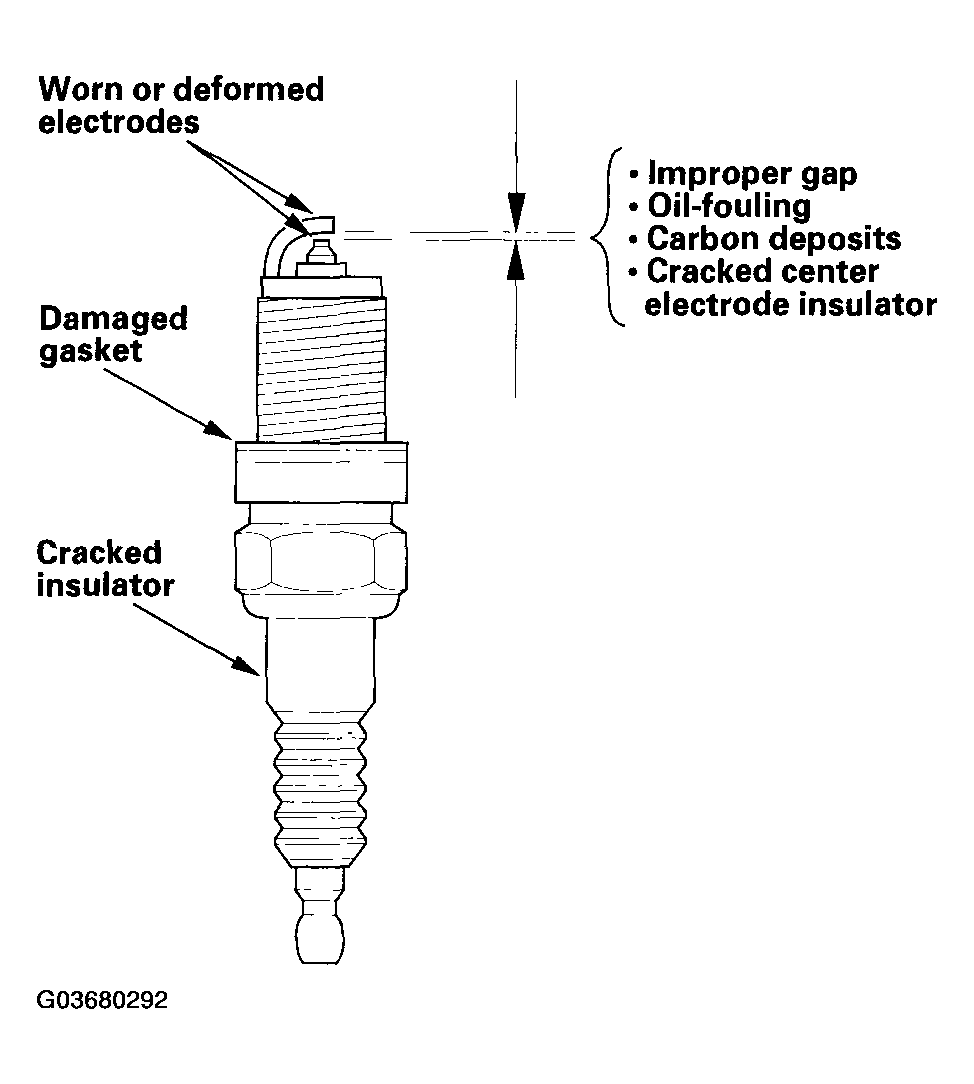 G03680292