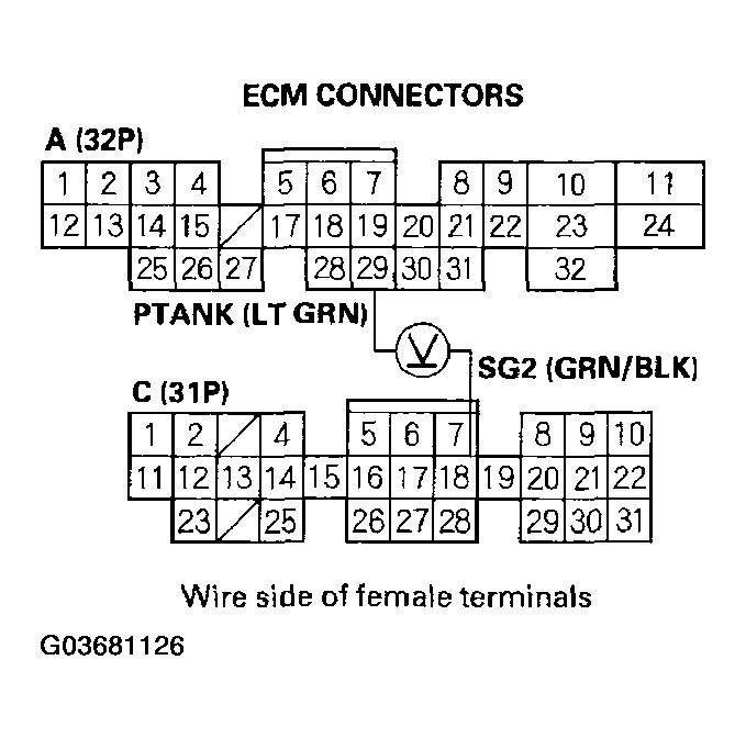 G03681126