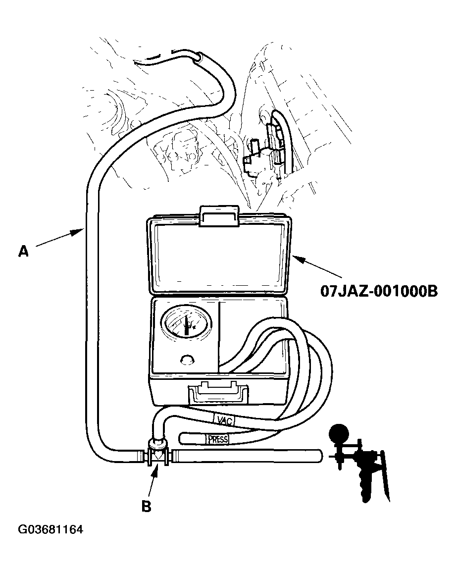 G03681164