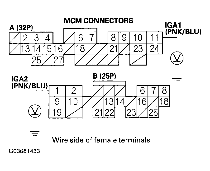 G03681433