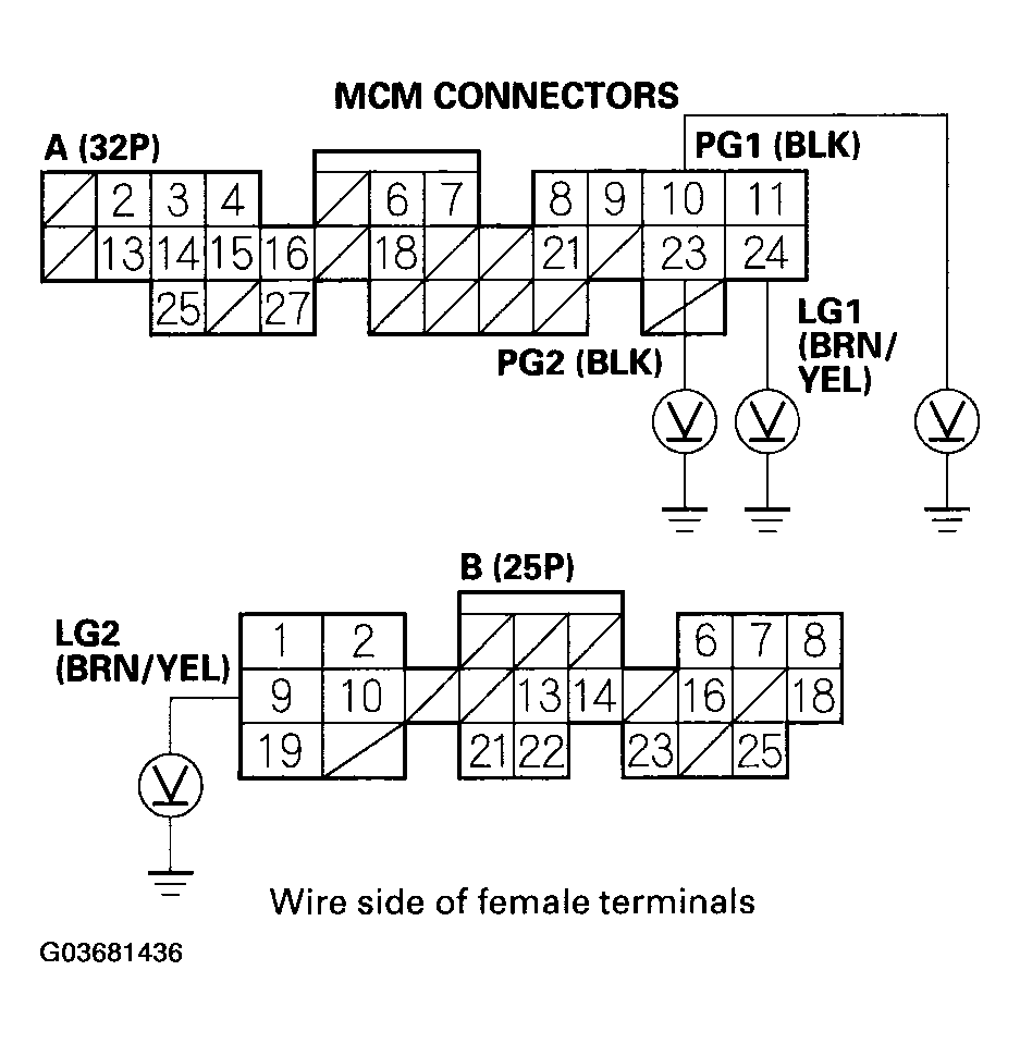 G03681436