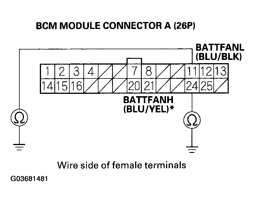 G03681481