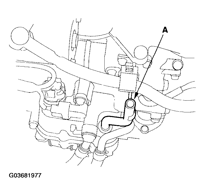 G03681977