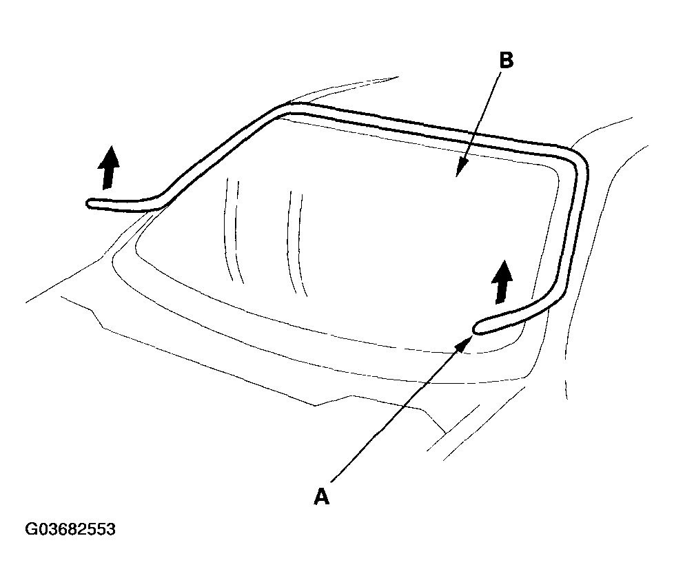 G03682553