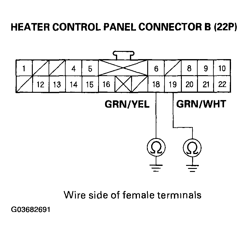 G03682691