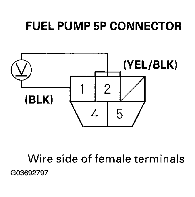 G03692797