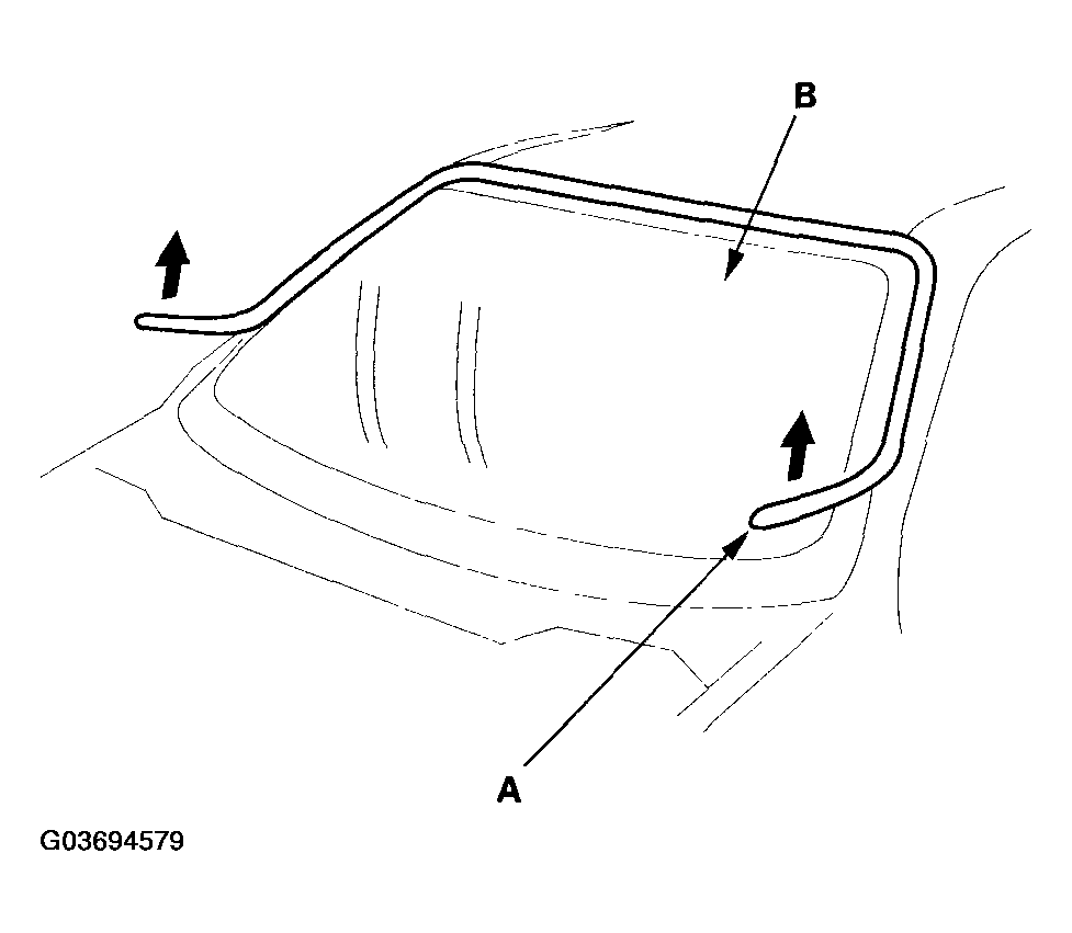 G03694579
