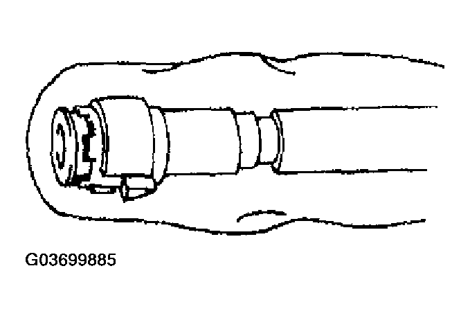 G03699885