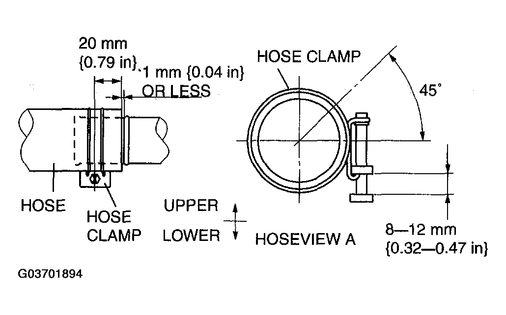 G03701894