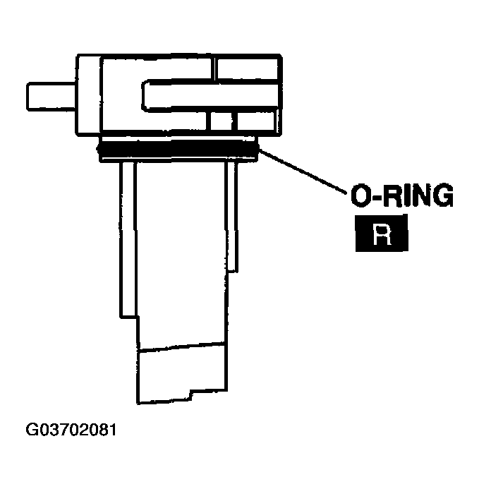 G03702081