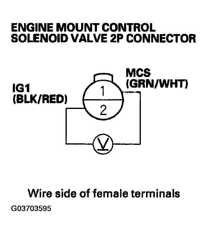 G03703595