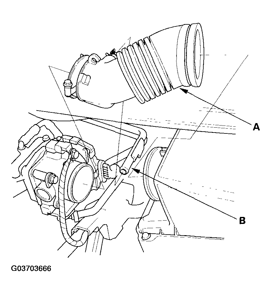 G03703666