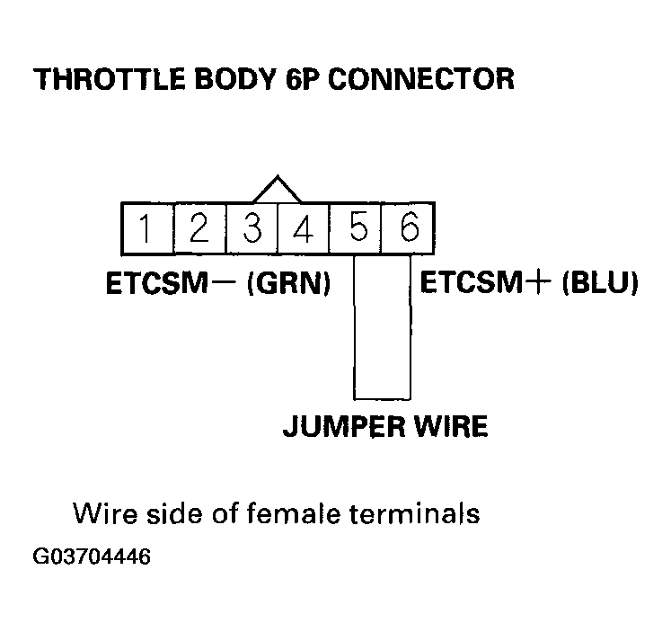 G03704446