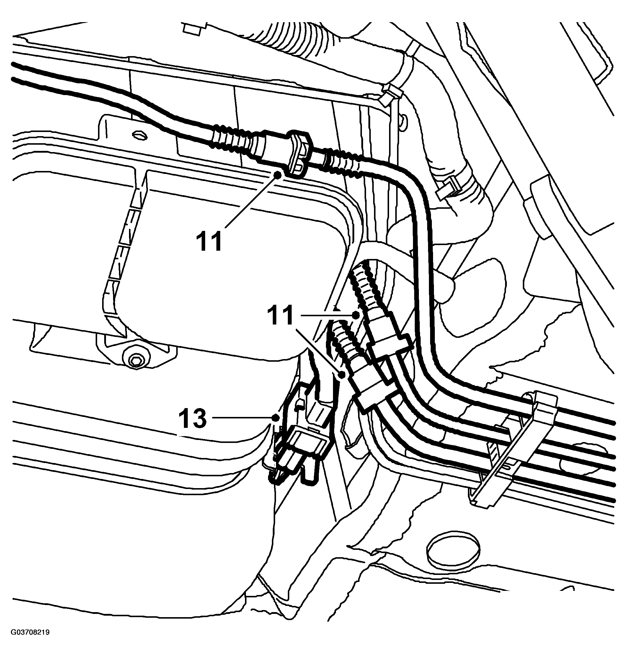 G03708219