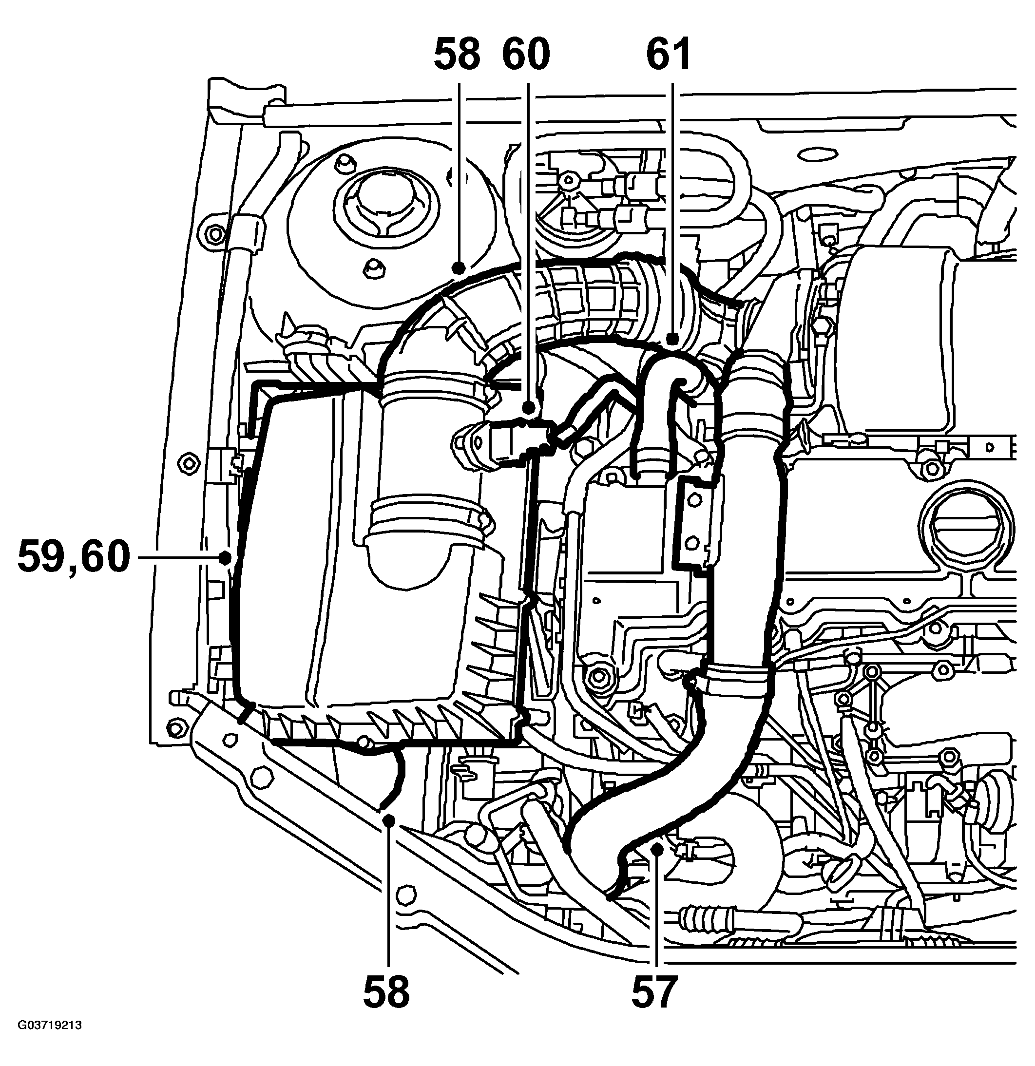 G03719213