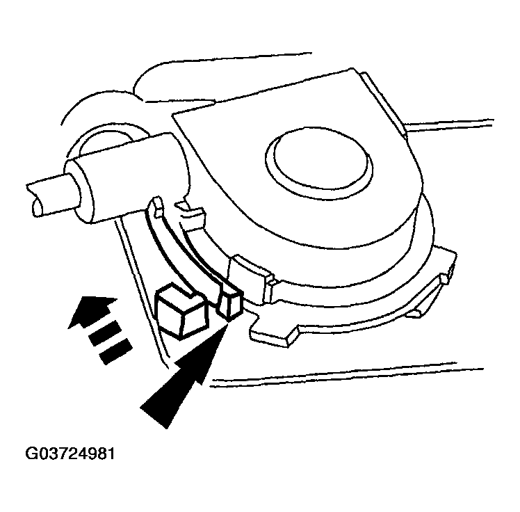 G03724981