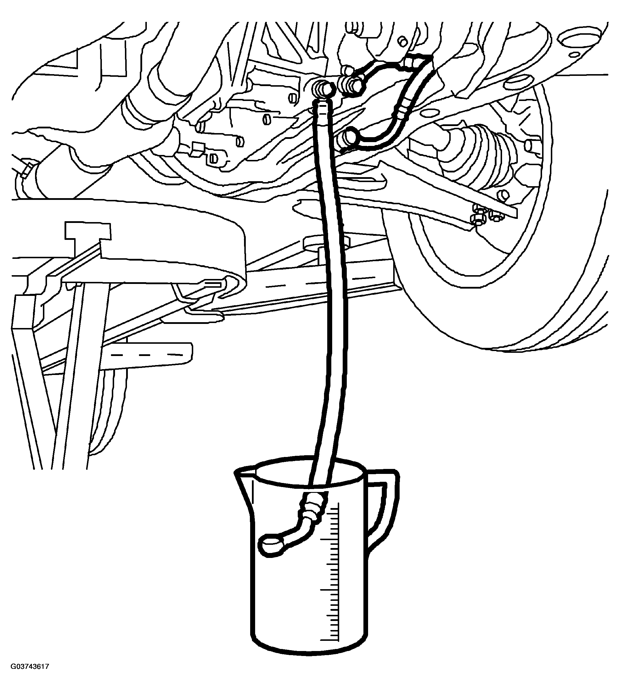 G03743617